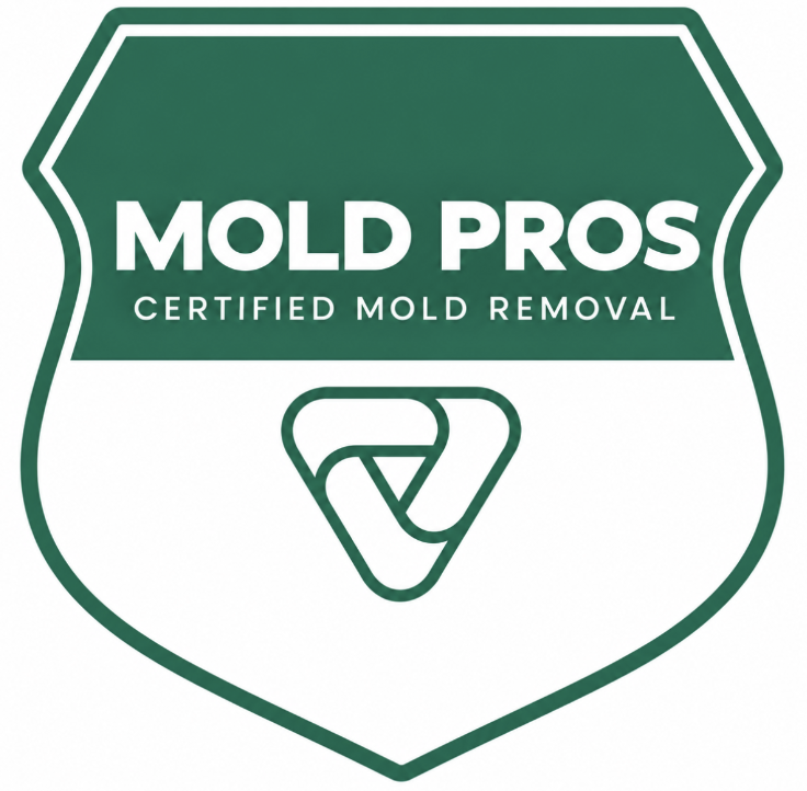 Mold Pros — Mold Removal Now